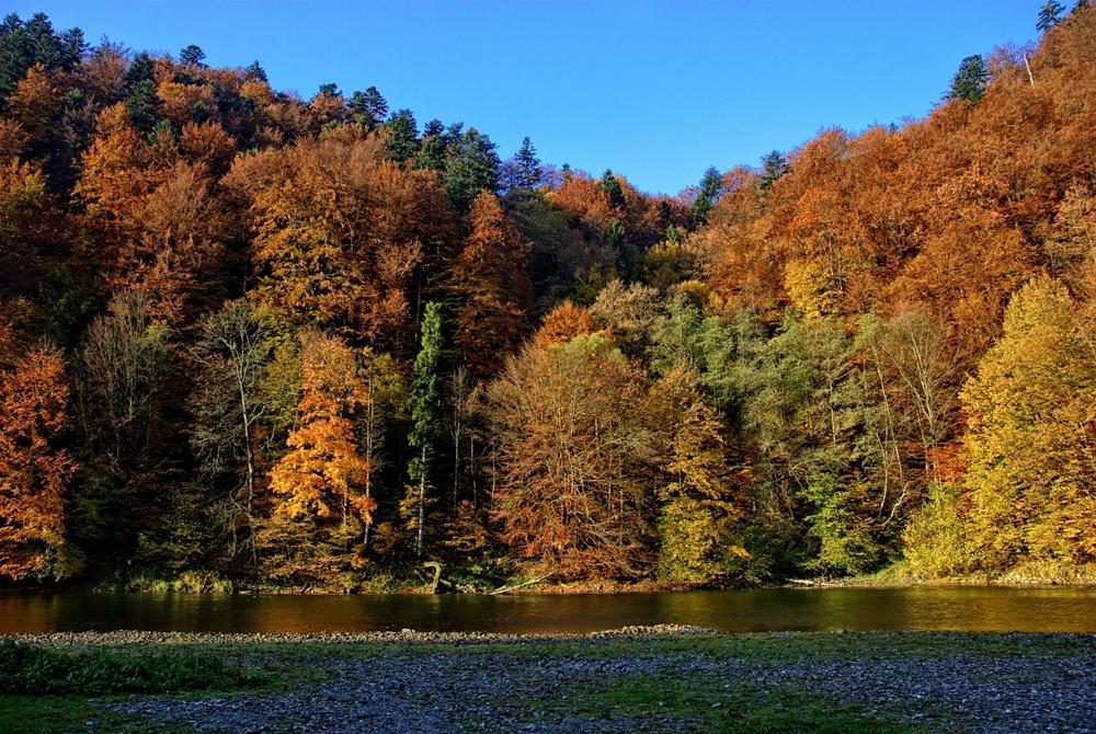 Dunajec River