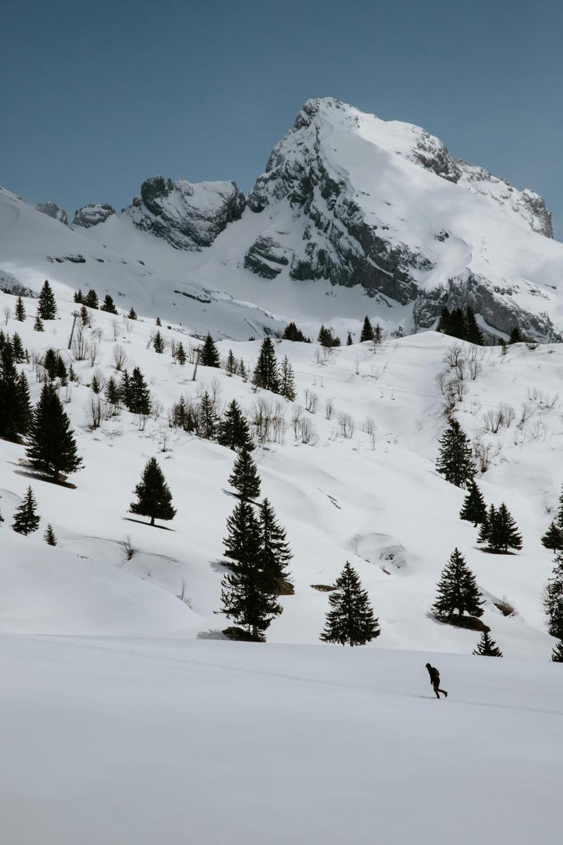 Skiing alps