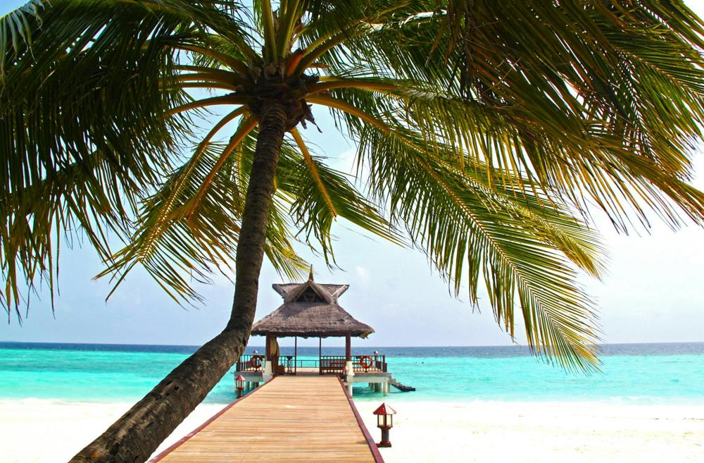 Tropical beach