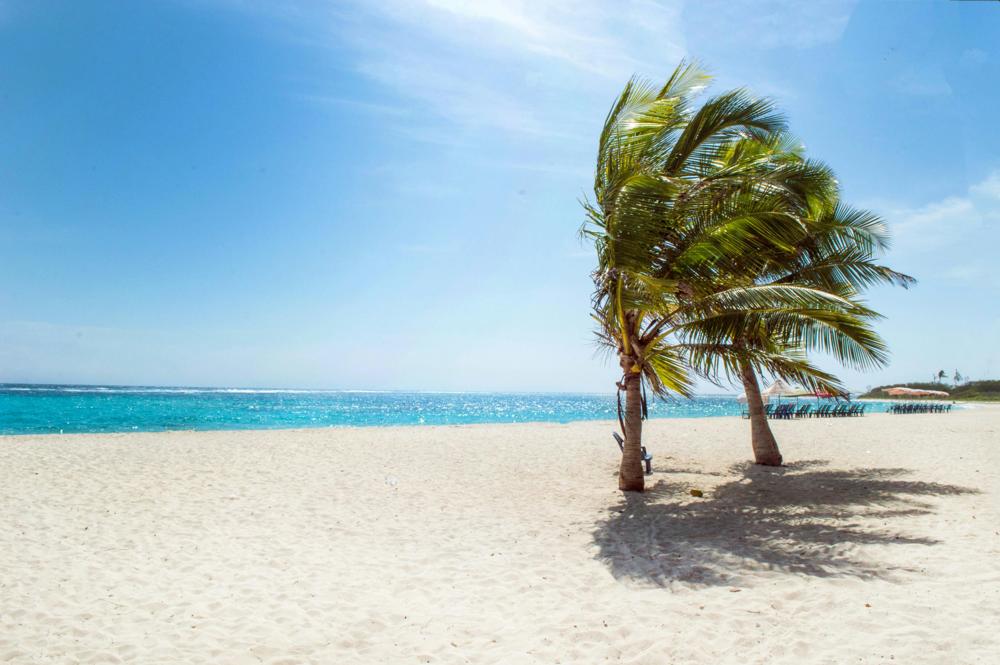 Tropical beach