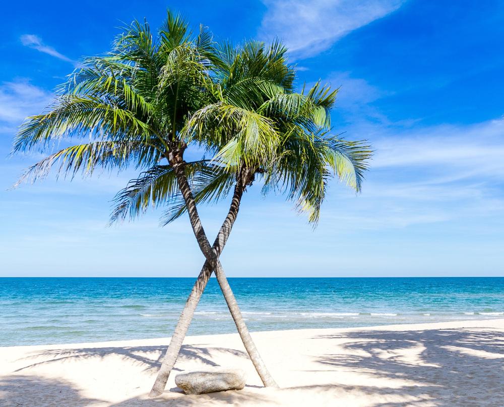 beach paradise