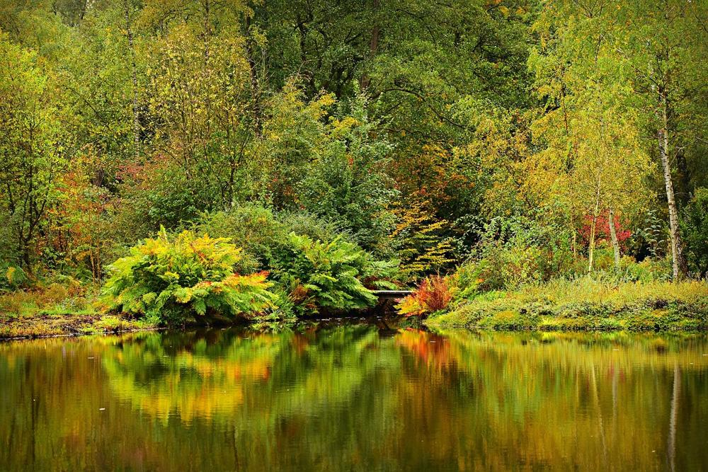 serene waters